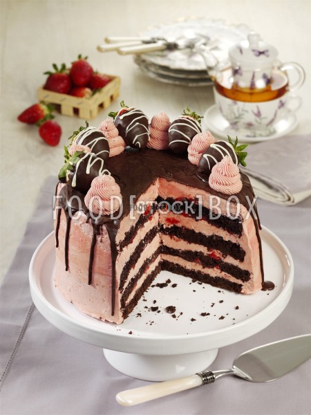 Erdbeer-Schokoladen-Torte