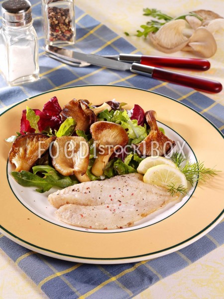 Gebackene Austernpilze mit Salat und Fisch