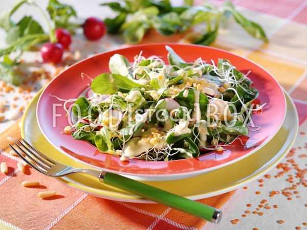 Radieschen-Salat mit roten Linsen