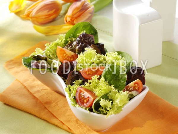 Blattsalat mit frischem Spinat