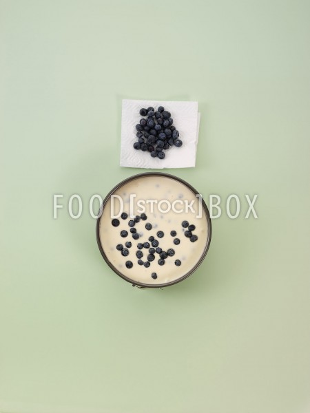 Blueberry-Cheesecake 6
