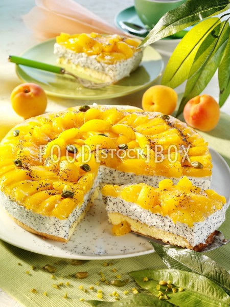 Aprikosen-Quark-Torte (Diabetiker)