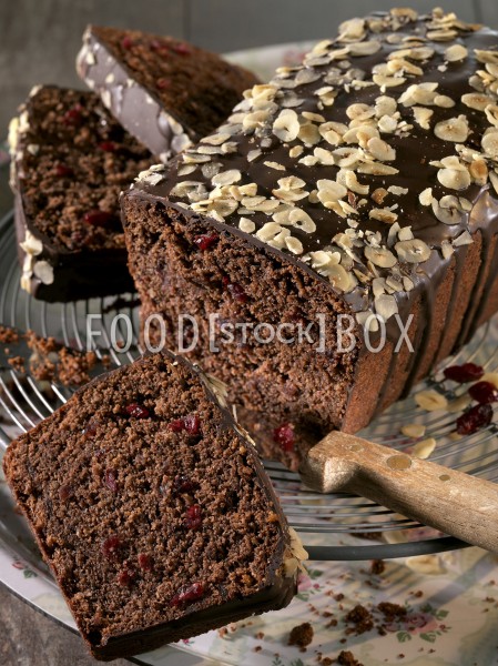 Cranberry-Schokoladen-Kuchen