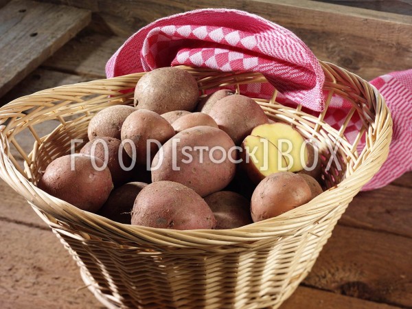 Kartoffel_red_star_1