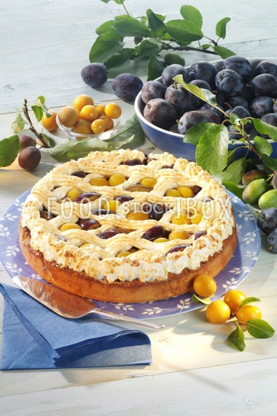 Pflaumen-Mirabellen-Kuchen mit Baisergitter