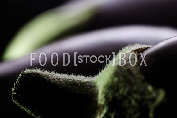 Aubergine 04