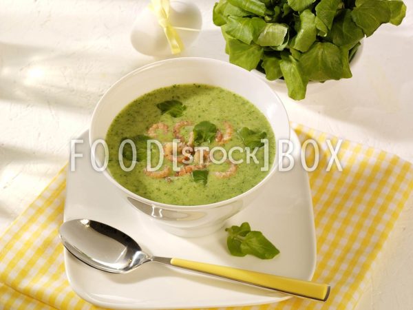 Brunnenkressesuppe 2