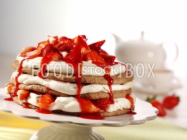 Erdbeer-Schoko-Torte