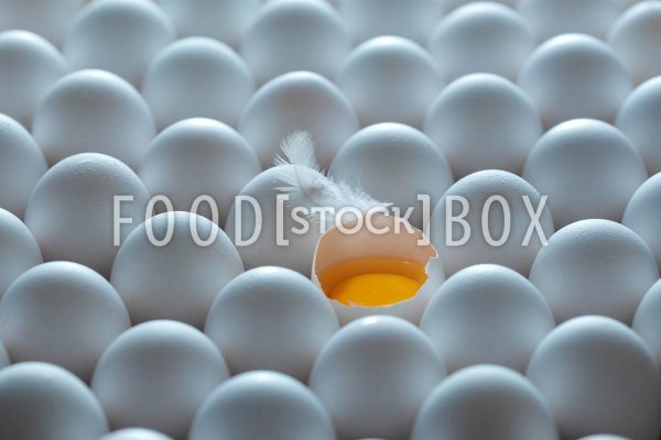 Eier 02