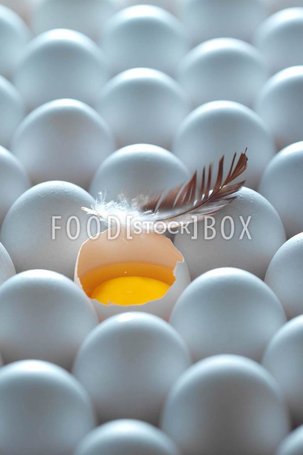Eier 03