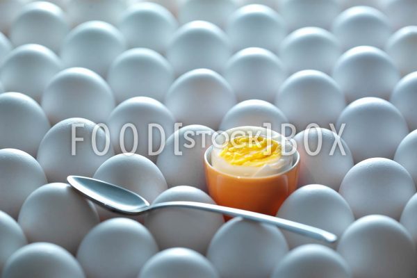 Eier 05