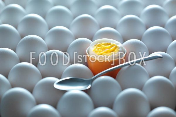 Eier 06