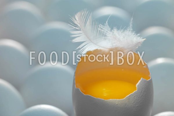 Eier 10