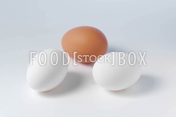 Eier 16