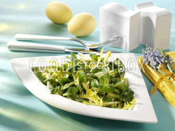 Frühlingssalat mit Löwenzahn 1