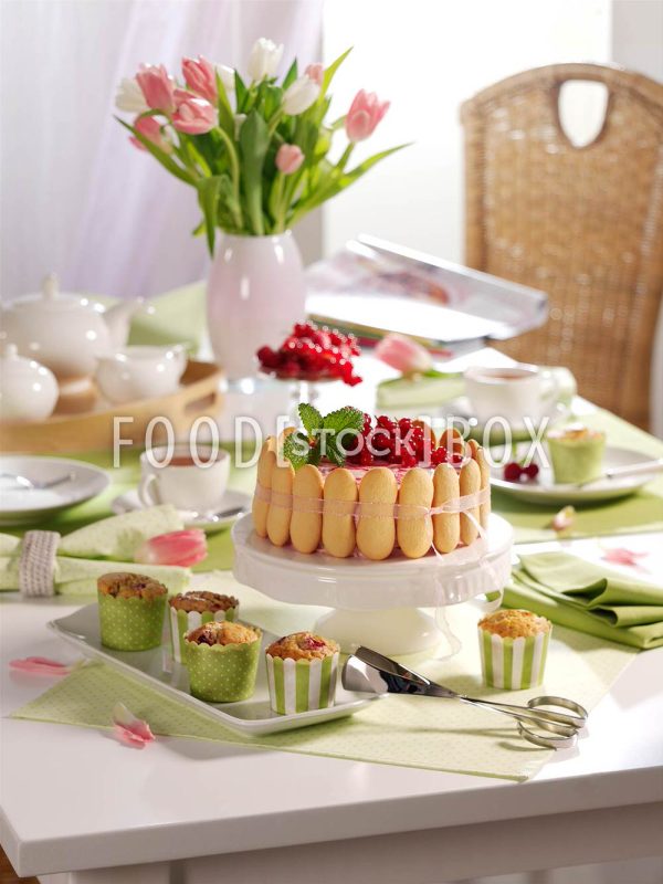 Johannisbeer-Frischkäsetorte 2
