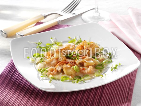 Jakobsmuscheln auf Garnelen-Kokosmilch-Sauce 1