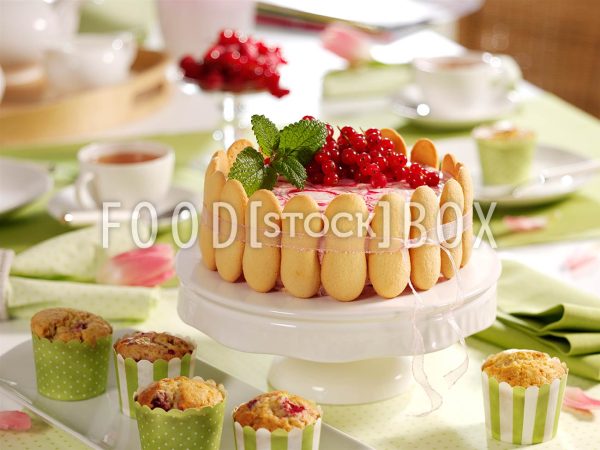 Johannisbeer-Frischkäsetorte 3