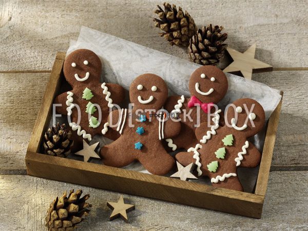 Lebkuchenmännchen 3