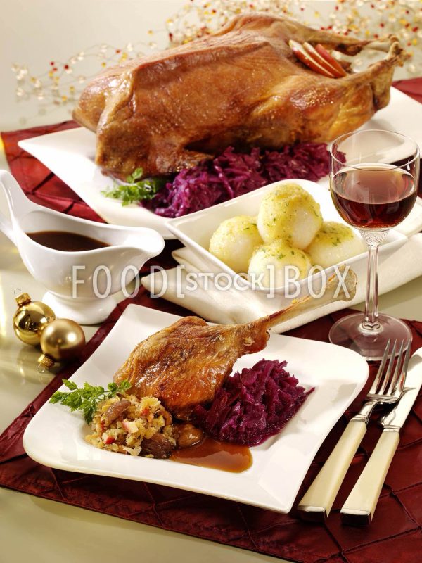 Klassische Gans 1