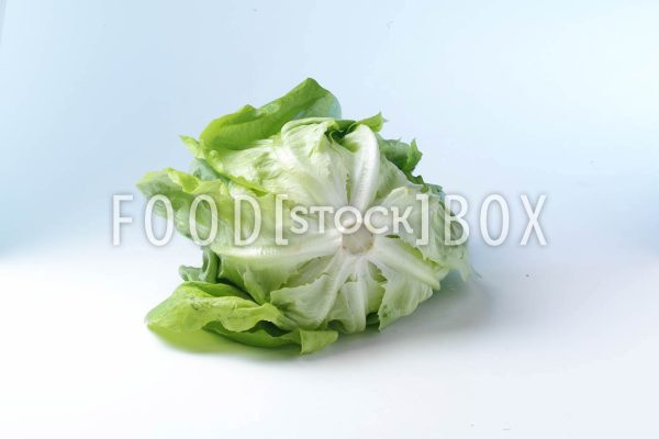 Kopfsalat 03