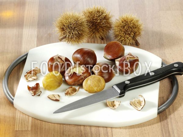 Maronen Step 01