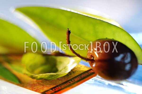 olive 06