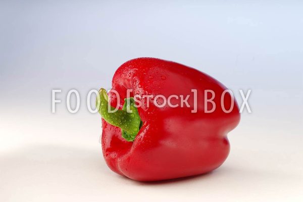 Paprika 03