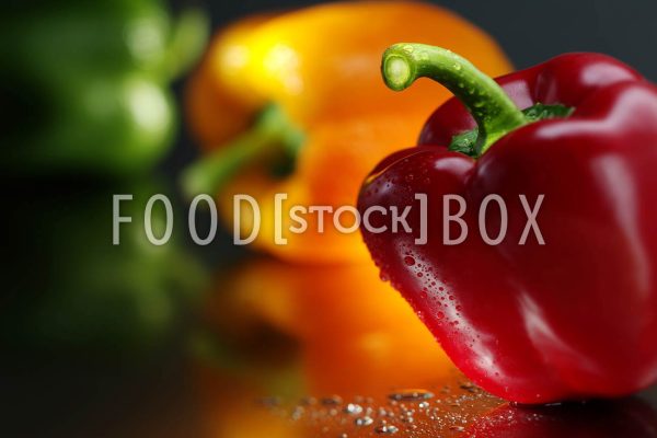 Paprika 06