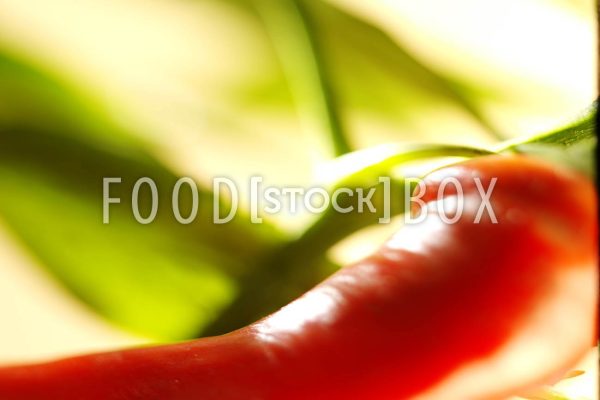 Peperoni 05