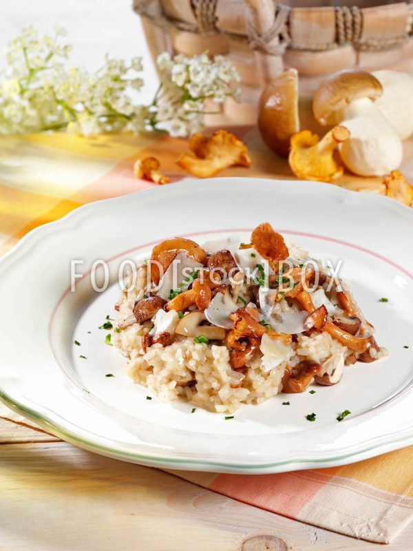 Pilz-Risotto  1