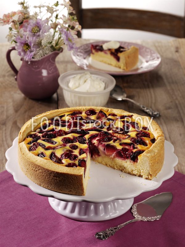 Quarkkuchen mit Kirschen & Pflaumen