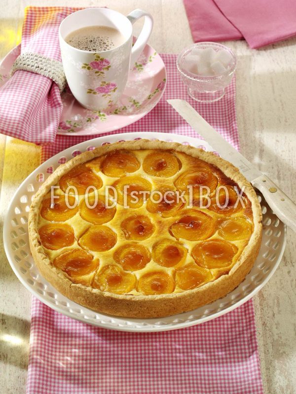 Quark-Kuchen mit Aprikosen 1