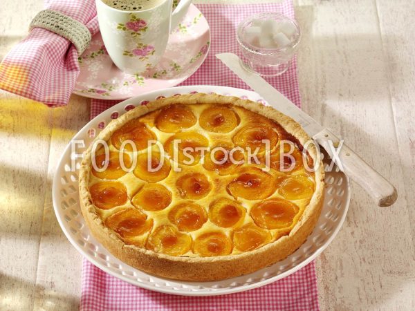 Quark-Kuchen mit Aprikosen 2