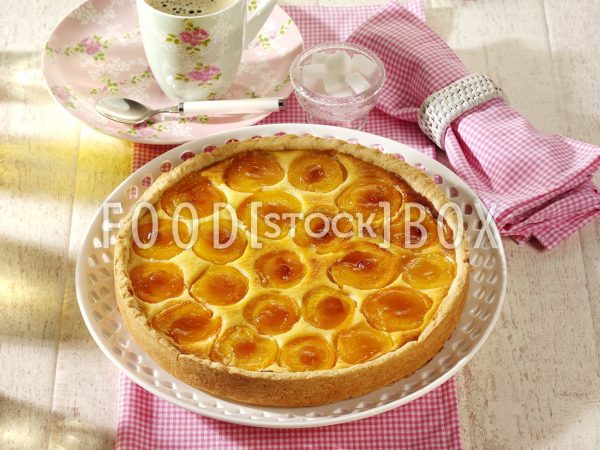 Quark-Kuchen mit Aprikosen 3