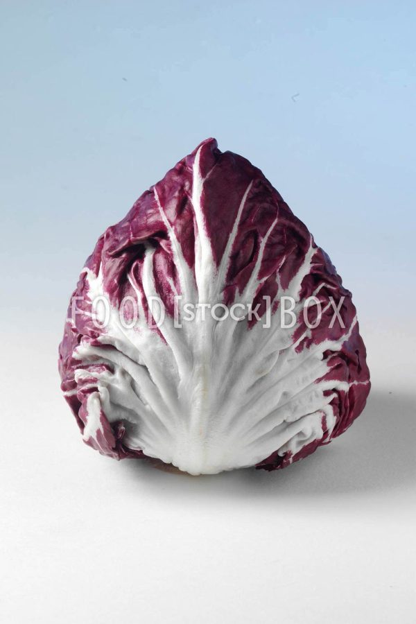 Radicchio 01