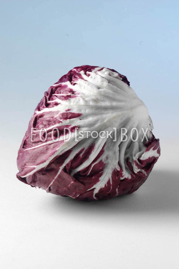 Radicchio 02
