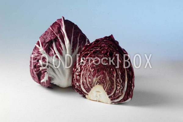 Radicchio 03
