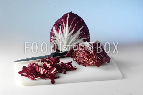 Radicchio 04