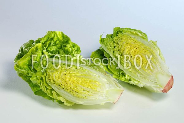 Romana Salat 02