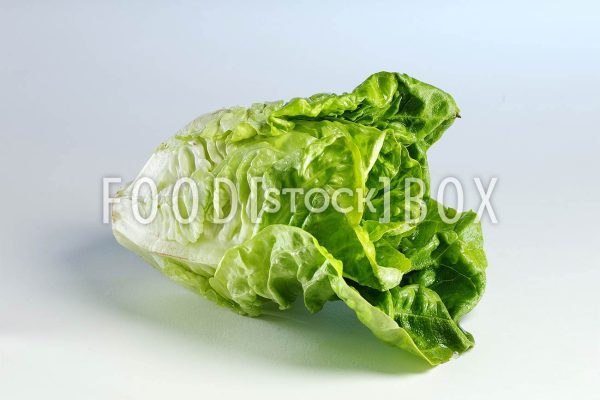 Romana Salat 05
