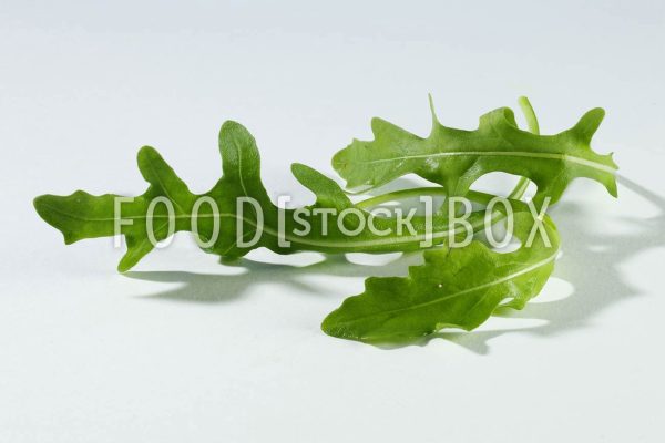 Rucola 03