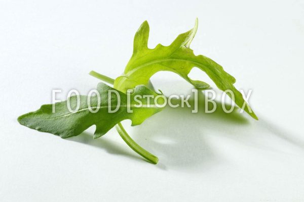 Rucola 05