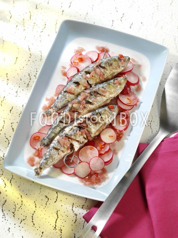 Gegrillte Sardinen am Spieß auf Radieschen-Salat