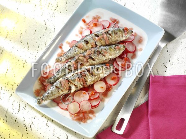 Gegrillte Sardinen am Spieß auf Radieschen-Salat 2