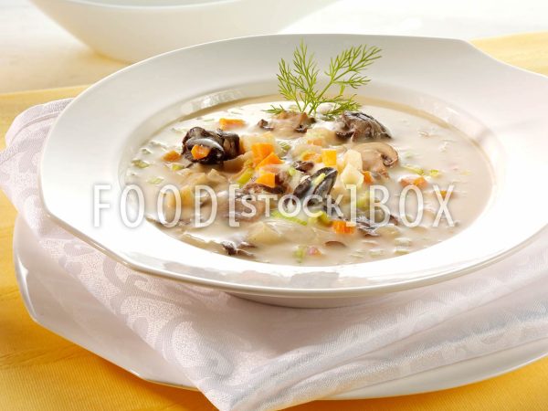 Schneckensüpple 2