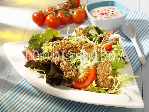Sommersalat mit Sesamfilet 3