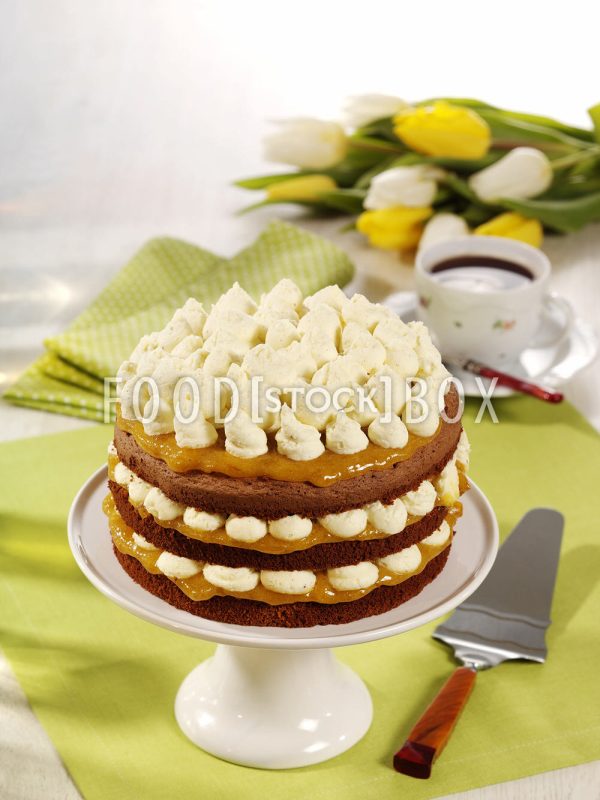 Spanische Vanilletorte mit Aprikosen