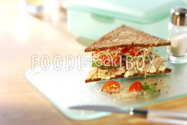 Sprossen-Sandwich 2