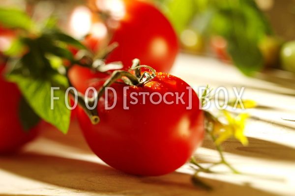 Tomate 01